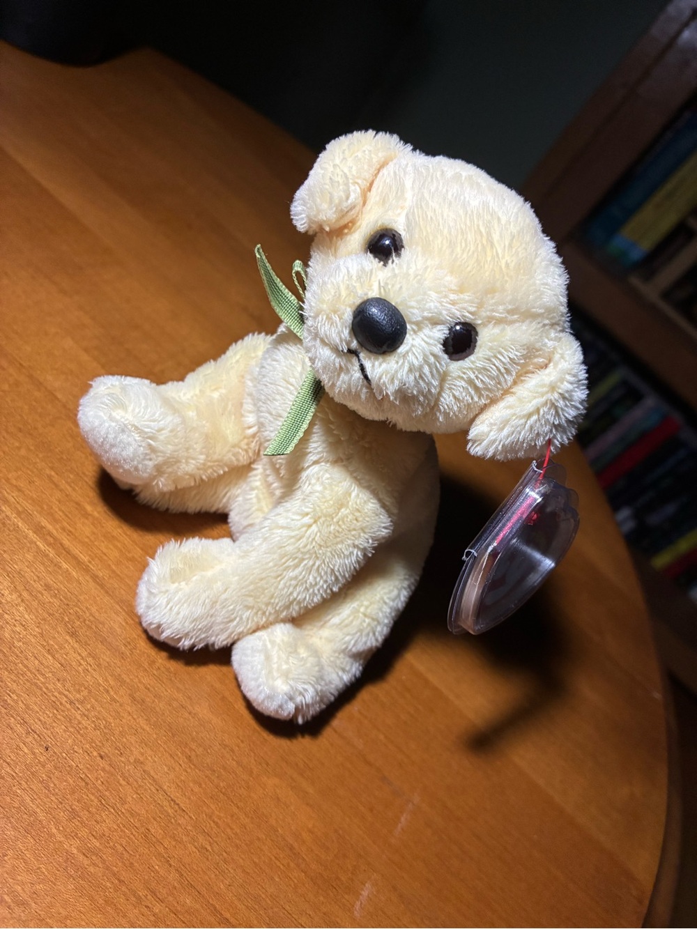 TY Beanie Babies Vintage 2007
Plush Bounds the Dog + Tag Protector